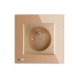 LIVOLO Prise mural deux fiches sans Terre