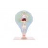 AMPOULE IRISEE D165 FILAMENT LED 4W E27 2700K DIMMABLE  Réf : 976643